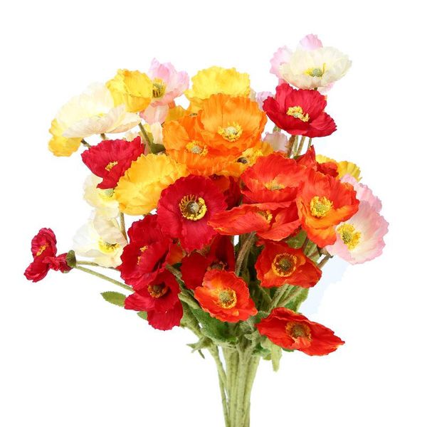 decorative flowers & wreaths decoration artificial common poppy silk wedding home fake plants part diy decor
decorative flowers & wreaths decoration artificial common poppy silk wedding home fake plants part diy decor