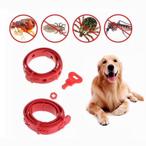 adjustable dog cat neck strap anti flea mite tick remedy puppy kitten pet collar supplies summer products collars & leads
adjustable dog cat neck strap anti flea mite tick remedy puppy kitten pet collar supplies summer products collars & leads