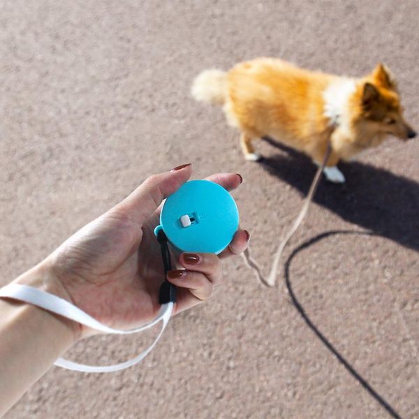 dog collars & leashes leash collar, pet products mini automatic leash, suitable for small dogs under 10 kg
dog collars & leashes leash collar, pet products mini automatic leash, suitable for small dogs under 10 kg
