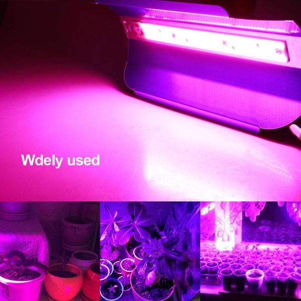 full spectrum led grow light 30w 50w 80w phyto lamp floodlight ip67 waterproof growing for plants veg greenhouse lights
full spectrum led grow light 30w 50w 80w phyto lamp floodlight ip67 waterproof growing for plants veg greenhouse lights
