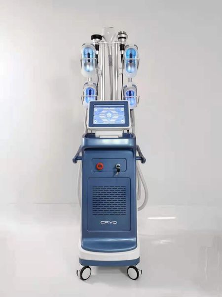 360 cryotherapy cryo body sculpture /fat ing slimming cryolipolysis machine
360 cryotherapy cryo body sculpture /fat ing slimming cryolipolysis machine