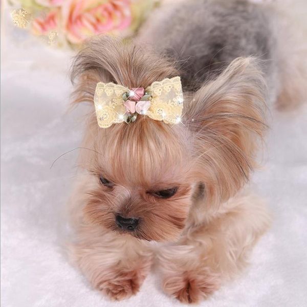 small dogs bows hair for pets accessories supplies pet bow rhinestone embroidery lace dog clip kitty poil apparel
small dogs bows hair for pets accessories supplies pet bow rhinestone embroidery lace dog clip kitty poil apparel
