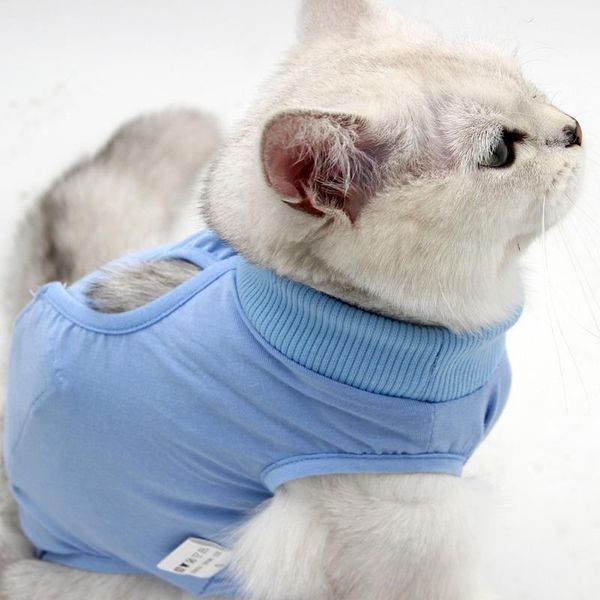 cat costumes pet physiological clothing protective weaning posrative anti-licking elastic pos
cat costumes pet physiological clothing protective weaning posrative anti-licking elastic pos