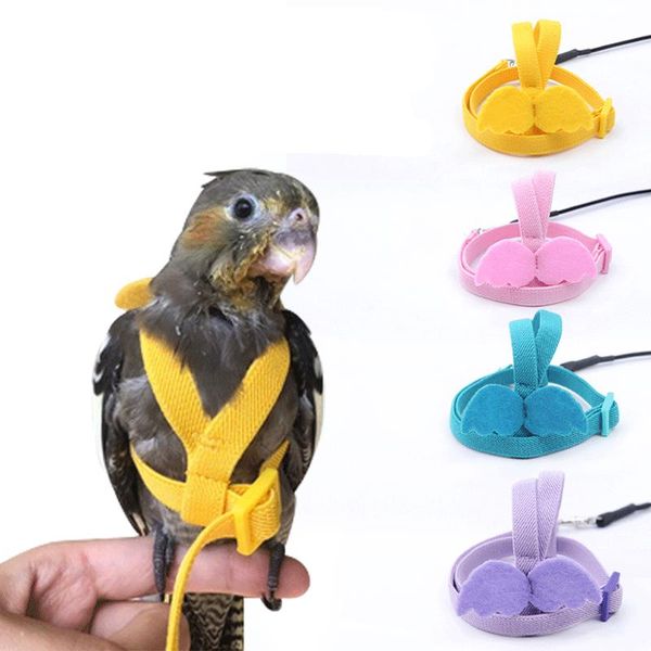 adjustable parrot bird seat belt training rope outdoor flight peony roaming ca001 other supplies
adjustable parrot bird seat belt training rope outdoor flight peony roaming ca001 other supplies