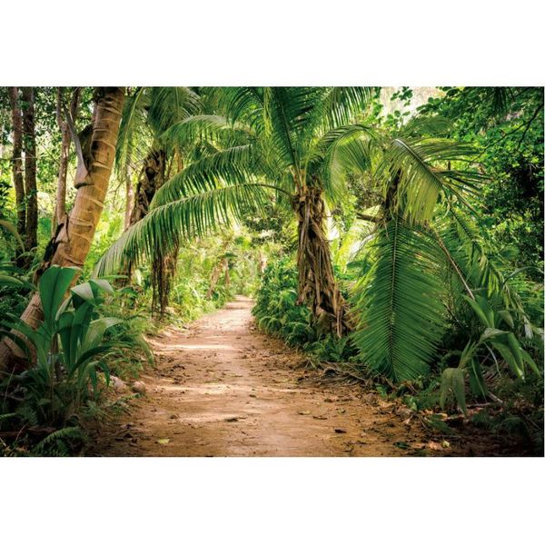 party decoration natural scenery backdrop tropical jungle palm tree landscape pography background decor born wedding po booth prop
party decoration natural scenery backdrop tropical jungle palm tree landscape pography background decor born wedding po booth prop