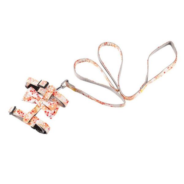 cat collars & leads pet traction rope rotating hook can move y, metal buckle is not easy to rust, 360 design supplies
cat collars & leads pet traction rope rotating hook can move y, metal buckle is not easy to rust, 360 design supplies