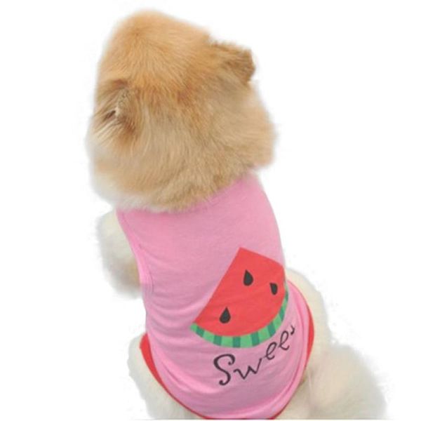 transer dog clothes vest dogs shirt summer cute small pet puppy cat watermelon printed pink 3.14 apparel
transer dog clothes vest dogs shirt summer cute small pet puppy cat watermelon printed pink 3.14 apparel