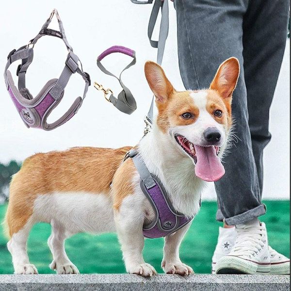 pet harness traction rope suit cationic vest type reflective chest strap nylon breathable heat dissipation and back dog collars & leashes
pet harness traction rope suit cationic vest type reflective chest strap nylon breathable heat dissipation and back dog collars & leashes