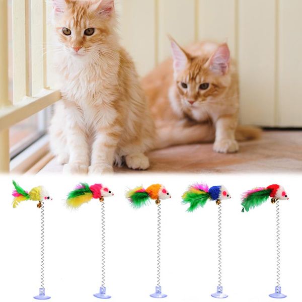 cat toys attractive pet playing sucker set interactive funny molar kitten plush false mouse shaped spring
cat toys attractive pet playing sucker set interactive funny molar kitten plush false mouse shaped spring
