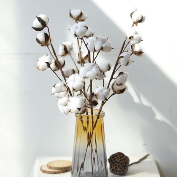 natural dried flowers white seven-headed burr dry cotton home decor wedding bathroom party living room artificial plants decorative & wreath
natural dried flowers white seven-headed burr dry cotton home decor wedding bathroom party living room artificial plants decorative & wreath