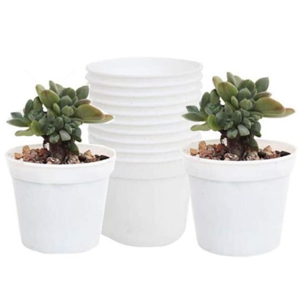 planters & pots round flower with drainage holes mini pots, suitable for transplanting nursery seedlings (white 40)
planters & pots round flower with drainage holes mini pots, suitable for transplanting nursery seedlings (white 40)