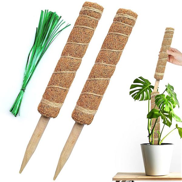 other garden supplies reusable plant climbing stand durable flower plants support for balcony courtyard easy to use jw
other garden supplies reusable plant climbing stand durable flower plants support for balcony courtyard easy to use jw