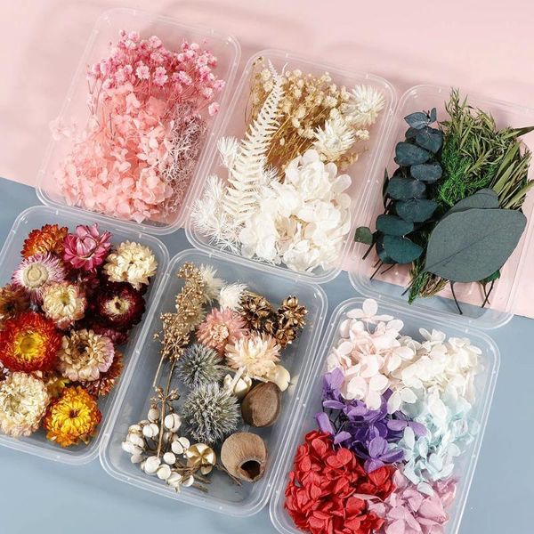 decorative flowers & wreaths 1 box real colorful dried flower plant for candle epoxy resin pendant necklace jewelry making craf
decorative flowers & wreaths 1 box real colorful dried flower plant for candle epoxy resin pendant necklace jewelry making craf