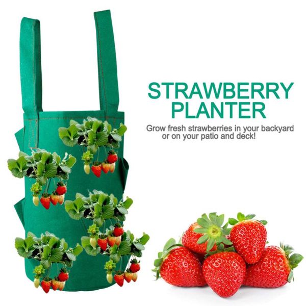 planters & pots 38*22cm 11 holes strawberry planting grow bags pocket home garden hanging plant
planters & pots 38*22cm 11 holes strawberry planting grow bags pocket home garden hanging plant