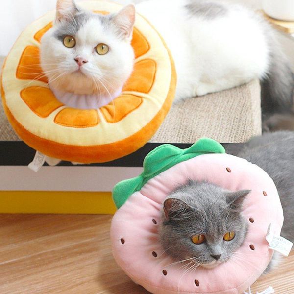 cat collars & leads pet fruit e-collar cotton filling collar adjustable neck recovery dog protection cone #
cat collars & leads pet fruit e-collar cotton filling collar adjustable neck recovery dog protection cone #