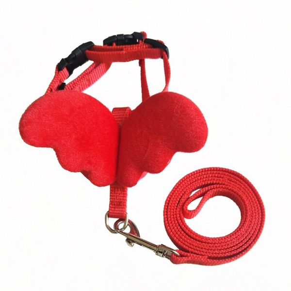 dog collars & leashes cute pet set for small adjustable harness with angel wings nylon strap accessories
dog collars & leashes cute pet set for small adjustable harness with angel wings nylon strap accessories