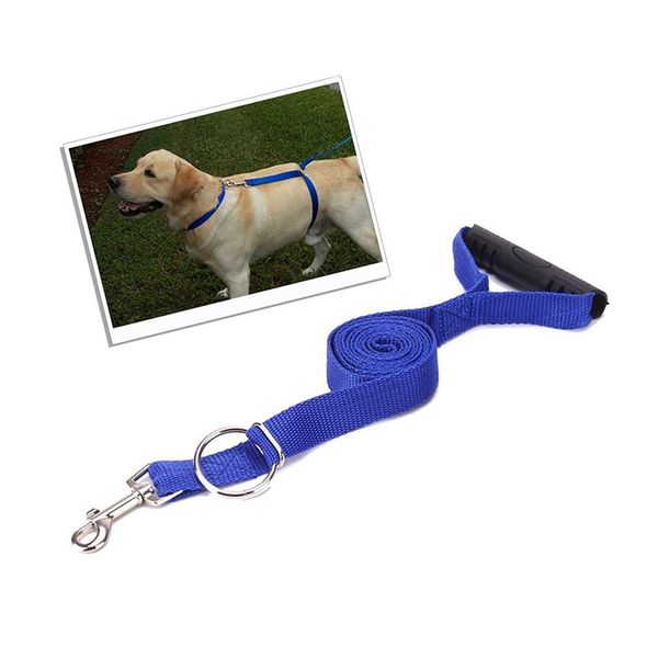 dog collars & leashes pet leash dogs walking training harness leader for large supplies
dog collars & leashes pet leash dogs walking training harness leader for large supplies