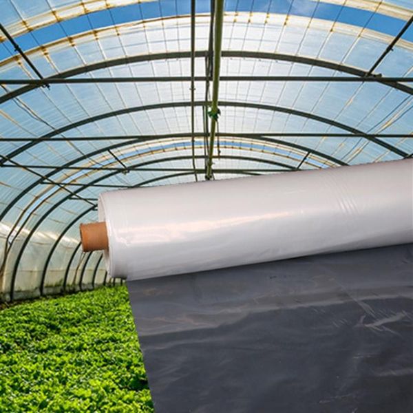 shade 0.12mm thickness transparent waterproof foil cover greenhouse film protect fruit tree vegetable agricultural cultivation anti-uv
shade 0.12mm thickness transparent waterproof foil cover greenhouse film protect fruit tree vegetable agricultural cultivation anti-uv