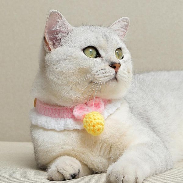 cat collars & leads cute crocheted collar woolen dog bandana sweet bowknot pet necklace manual scarf for small cats pink kitten accessories
cat collars & leads cute crocheted collar woolen dog bandana sweet bowknot pet necklace manual scarf for small cats pink kitten accessories