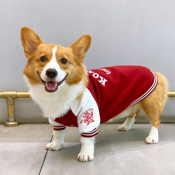 dog clothing autumn and winter baseball sweater kerky pet sportswear warm small medium-sized dog
dog clothing autumn and winter baseball sweater kerky pet sportswear warm small medium-sized dog