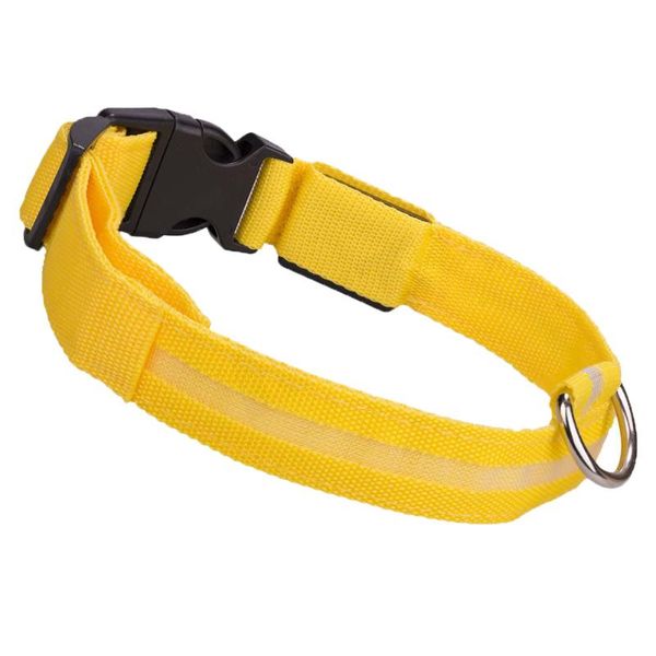 dog collars & leashes 1 pcs pet led collar neck strap flashing luminous safety supplies for outdoor sf66
dog collars & leashes 1 pcs pet led collar neck strap flashing luminous safety supplies for outdoor sf66