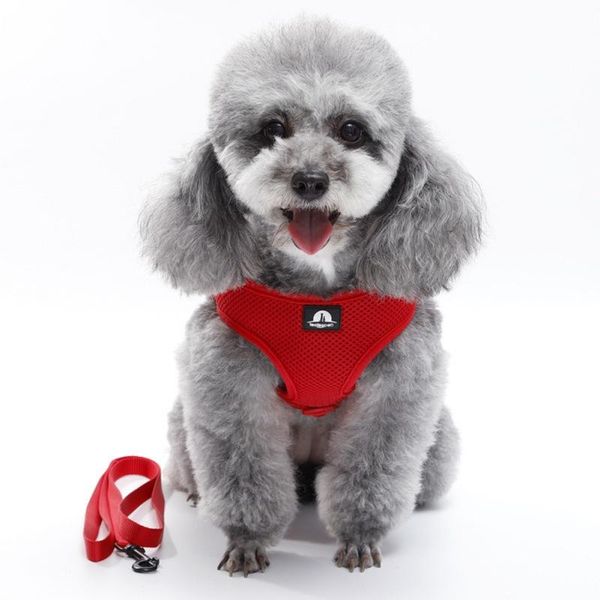 pet dog adjustable leash lead harness vest for small large dogs products leads collars & leashes
pet dog adjustable leash lead harness vest for small large dogs products leads collars & leashes