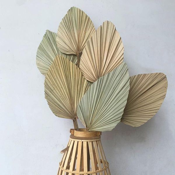decorative flowers & wreaths dry palm leaves forest wedding decor props shop display soft decoration floor living room plants craft supplies
decorative flowers & wreaths dry palm leaves forest wedding decor props shop display soft decoration floor living room plants craft supplies