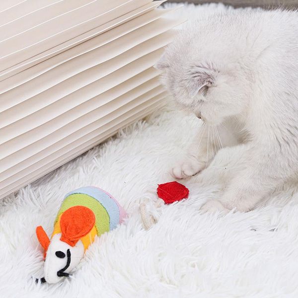 cat toys cute chew toy plush catnip kitty teething interactives entertainment for pet kitten
cat toys cute chew toy plush catnip kitty teething interactives entertainment for pet kitten