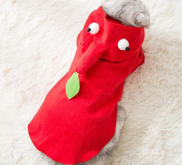 cat costumes clothes winter warm sweater with bowknot kitten knitwear coat pet for puppy supplies
cat costumes clothes winter warm sweater with bowknot kitten knitwear coat pet for puppy supplies