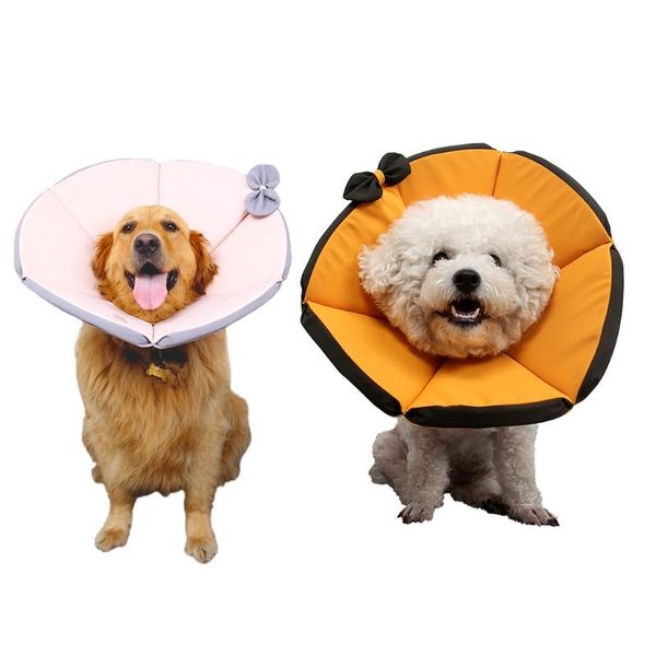 pet adjustable protective collar sor cats and dogs comfy cone soft recovery anti bite lick wound healing dog apparel
pet adjustable protective collar sor cats and dogs comfy cone soft recovery anti bite lick wound healing dog apparel