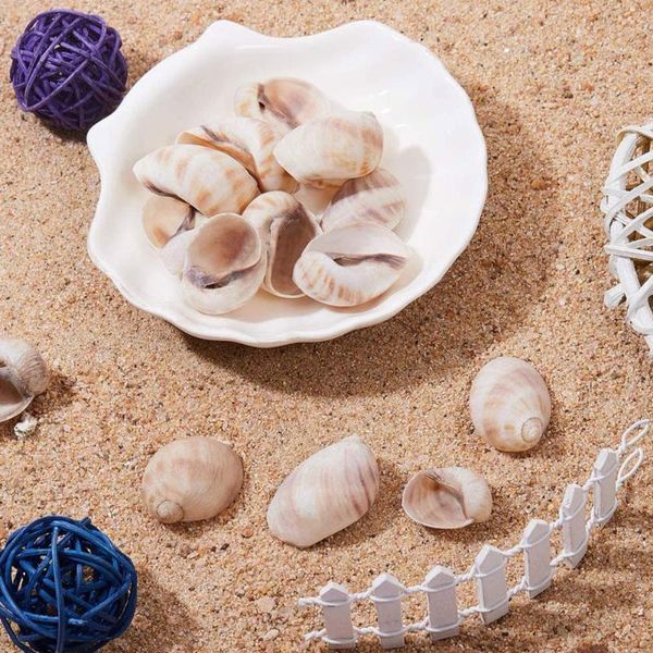 5pcs natural shell pendant conch watanabe art for diy jewelry necklaces making accessories decorations
5pcs natural shell pendant conch watanabe art for diy jewelry necklaces making accessories decorations
