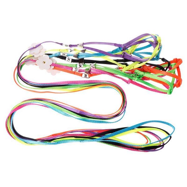 other bird supplies pet harness small pets parrot parakeet leash outdoor adjustable strap training rope flying cross band soft colorful prod
other bird supplies pet harness small pets parrot parakeet leash outdoor adjustable strap training rope flying cross band soft colorful prod