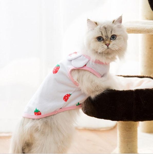 pets dresses national style spring summer cotton dog clothes for small dogs chihuahua comfortable pleated cat skirts costumes
pets dresses national style spring summer cotton dog clothes for small dogs chihuahua comfortable pleated cat skirts costumes