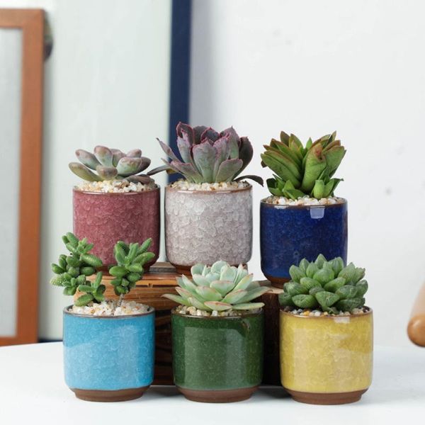 planters & pots home garden mini colored ceramic succulent flower pot deskcontainer ice crack design thumb flowerpot balcony green plant
planters & pots home garden mini colored ceramic succulent flower pot deskcontainer ice crack design thumb flowerpot balcony green plant