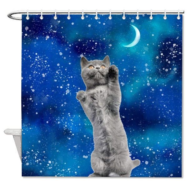 american wirehair atmosphere carnivore cat felidae night sky snout whiskers bath decorative shower curtain bathroom
american wirehair atmosphere carnivore cat felidae night sky snout whiskers bath decorative shower curtain bathroom