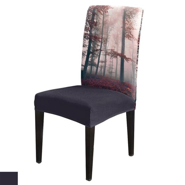 chair covers autumn woods mysterious fog dining room spandex elastic for wedding el banquet
chair covers autumn woods mysterious fog dining room spandex elastic for wedding el banquet