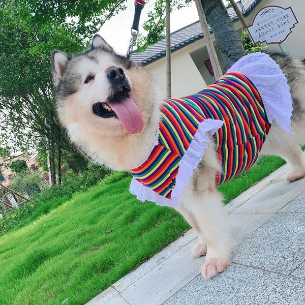 tlb breathable rainbow princs skirt teddy cat golden alaskan erha dog drs