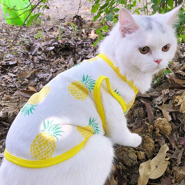 dog apparel summer cat vest for small dogs cats breathable pet clothes puppy tshirt yorkshire shih tzu shirts mascota costume
dog apparel summer cat vest for small dogs cats breathable pet clothes puppy tshirt yorkshire shih tzu shirts mascota costume