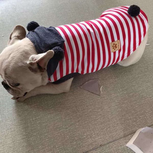 the dog clothes spring and summer pet clothes transform series dog cat cute polar bear red
the dog clothes spring and summer pet clothes transform series dog cat cute polar bear red