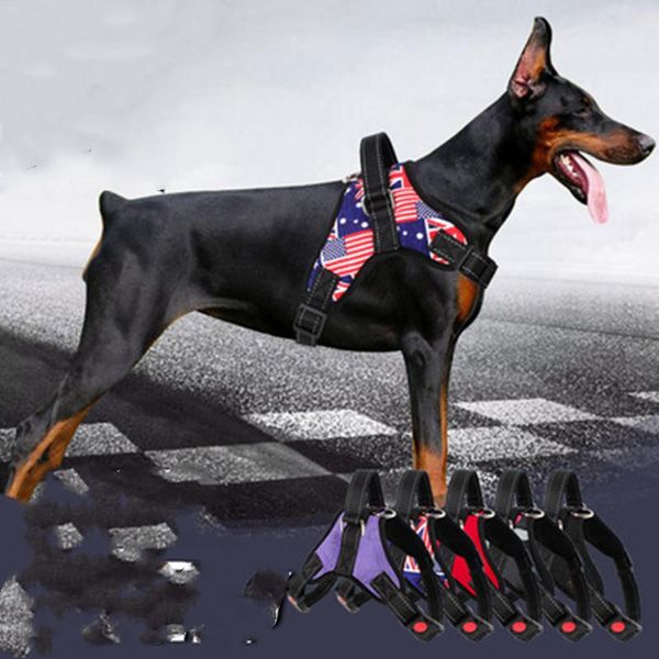 dog collars & leashes pet supplies medium and large collar brado golden retriever husky seat belt coelhos
dog collars & leashes pet supplies medium and large collar brado golden retriever husky seat belt coelhos