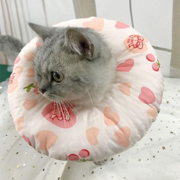 dog collars & leashes 1 pcs pet cat protective cover collar neck anti-bite soft anti-scratch recovery rt88
dog collars & leashes 1 pcs pet cat protective cover collar neck anti-bite soft anti-scratch recovery rt88