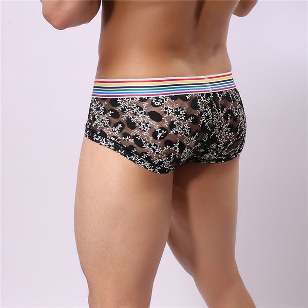 underware male underwear breathable high waist black mens briefs fashion men's underpants exotic lace pants, Black;white
underware male underwear breathable high waist black mens briefs fashion men's underpants exotic lace pants, Black;white