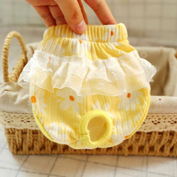 dog apparel pets sanitary physiological pants diaper washable female floral shorts panties menstruation underwear pet briefs
dog apparel pets sanitary physiological pants diaper washable female floral shorts panties menstruation underwear pet briefs