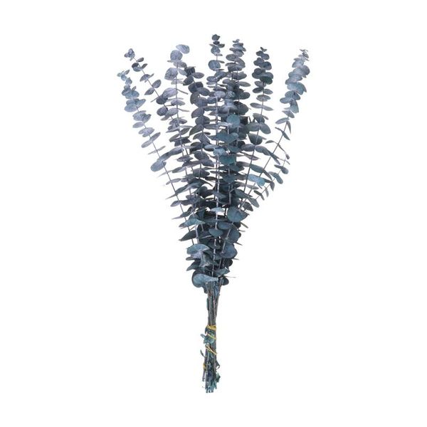 decorative flowers & wreaths 10pcs 20-30cm dried eucalyptus green leaves pography props home adornment deskdecroation (blue-green)
decorative flowers & wreaths 10pcs 20-30cm dried eucalyptus green leaves pography props home adornment deskdecroation (blue-green)