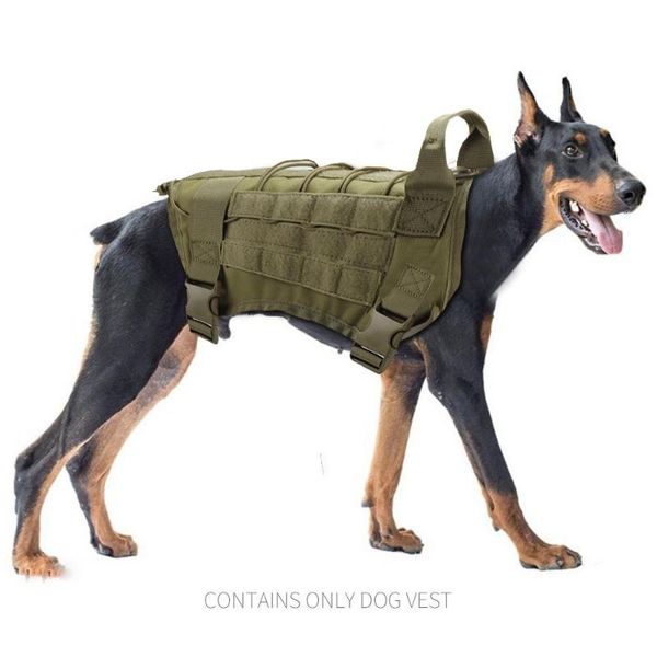 dog collars & leashes with handle m, l,xl rope vest retractable traction leash head tactics training tactical extendable
dog collars & leashes with handle m, l,xl rope vest retractable traction leash head tactics training tactical extendable