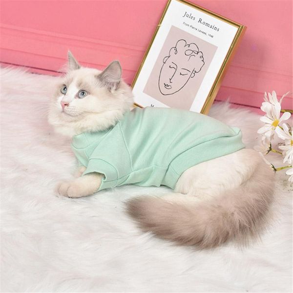 cat costumes lechong pet clothes simple pure cotton warm shirt soft solid color vest suitable for kitten jacket supplies
cat costumes lechong pet clothes simple pure cotton warm shirt soft solid color vest suitable for kitten jacket supplies