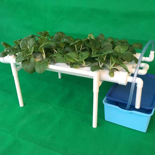 planters & pots 36/54 holes soilless cultivation equipment vegetable hydroponic automatic watering balcony planting machine
planters & pots 36/54 holes soilless cultivation equipment vegetable hydroponic automatic watering balcony planting machine