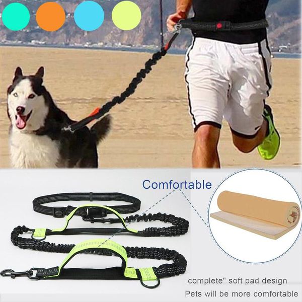 dog collars & leashes reflective leash traction rope pet running belt elastic hands y jogging pull metal d-ring
dog collars & leashes reflective leash traction rope pet running belt elastic hands y jogging pull metal d-ring