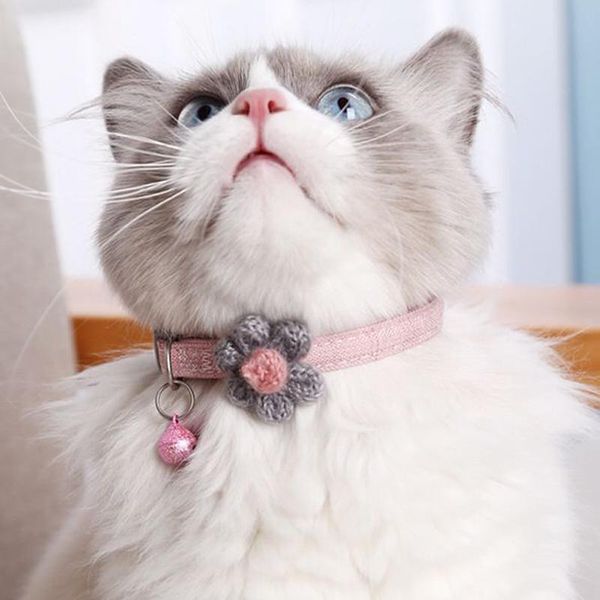 pet supplies wholesale cat collar with bell adjustable buckle decor for small dogs chihuahua products puppy accessories collars & leads
pet supplies wholesale cat collar with bell adjustable buckle decor for small dogs chihuahua products puppy accessories collars & leads