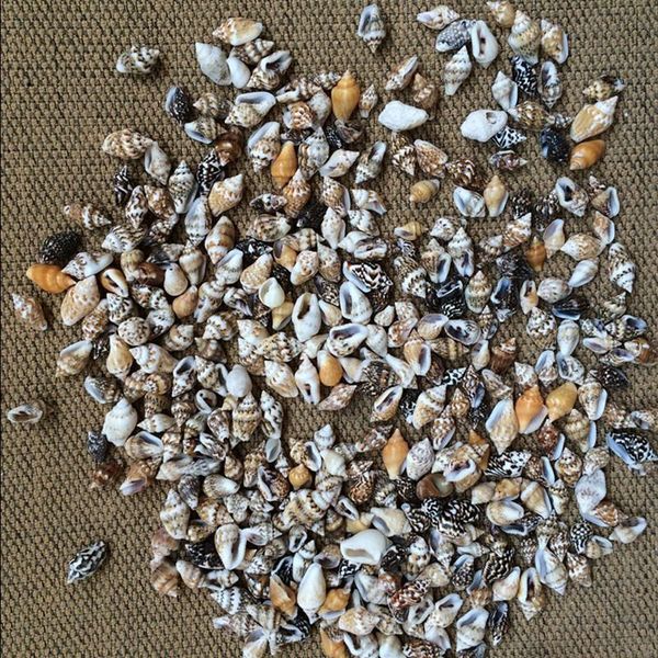 novelty items 50pcs/lot 0.9-1.3 cm small miscellaneous conch home toysdecoration material natural craft seashell aquarium fish tank landscap
novelty items 50pcs/lot 0.9-1.3 cm small miscellaneous conch home toysdecoration material natural craft seashell aquarium fish tank landscap